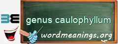 WordMeaning blackboard for genus caulophyllum